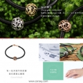 我的相册