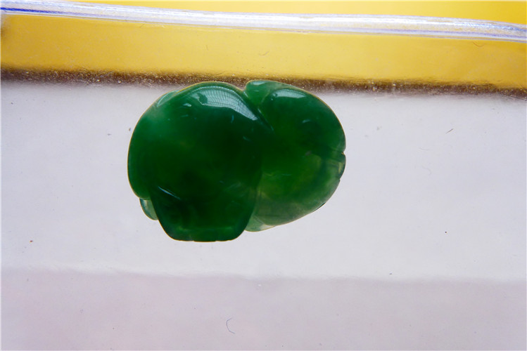 66.jpg