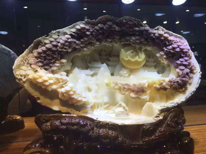 砗磲摆件 各种精美砗磲摆件精品