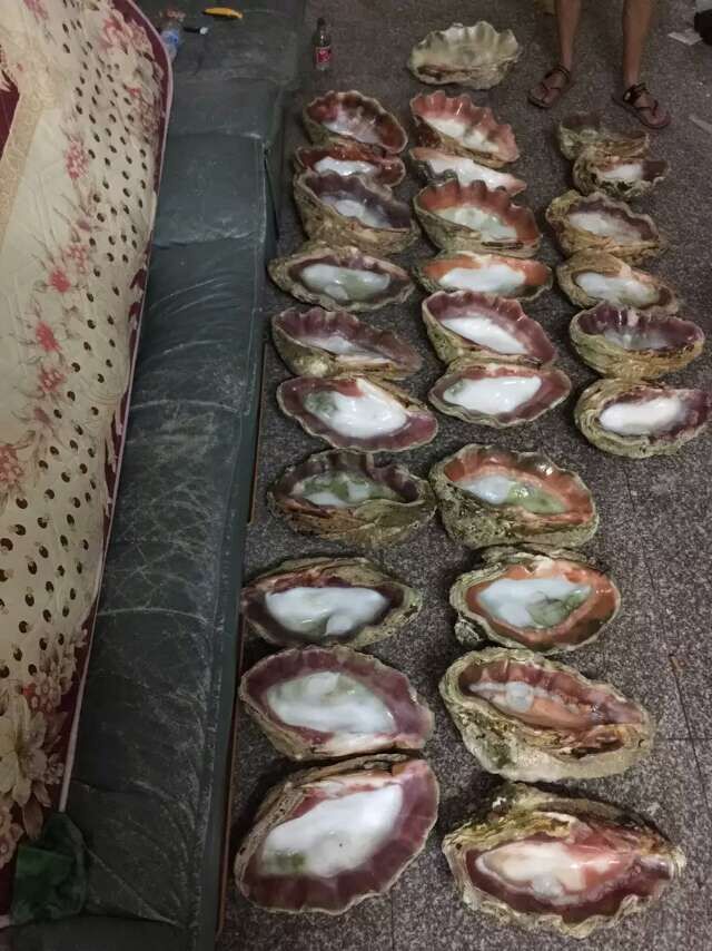 QQ图片20151115140322.jpg
