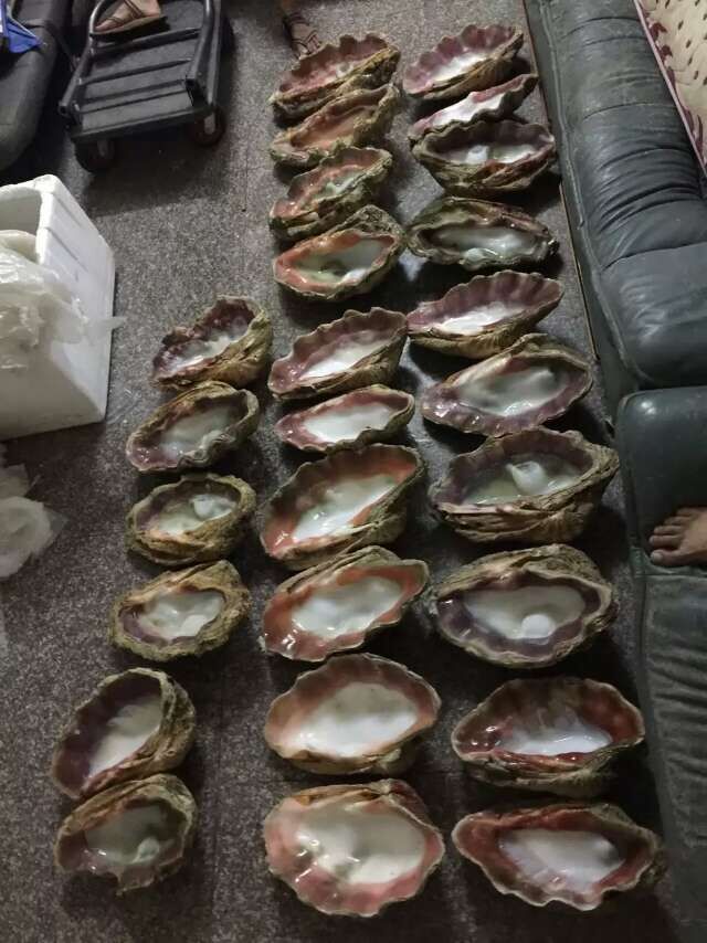 QQ图片20151115140319.jpg