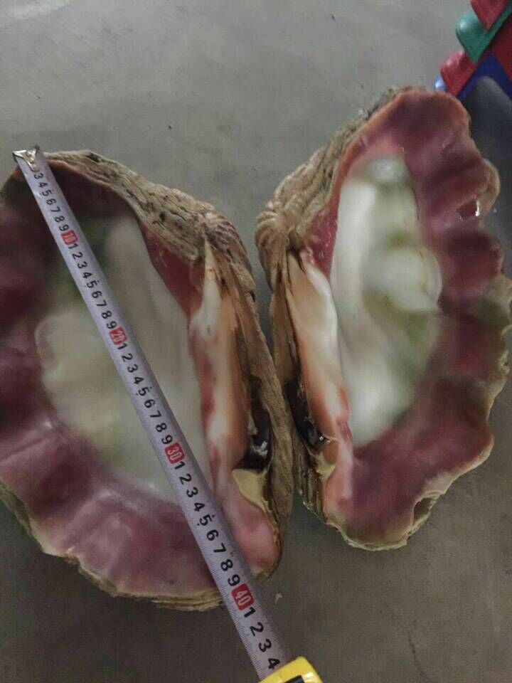 QQ图片20151115140335.jpg