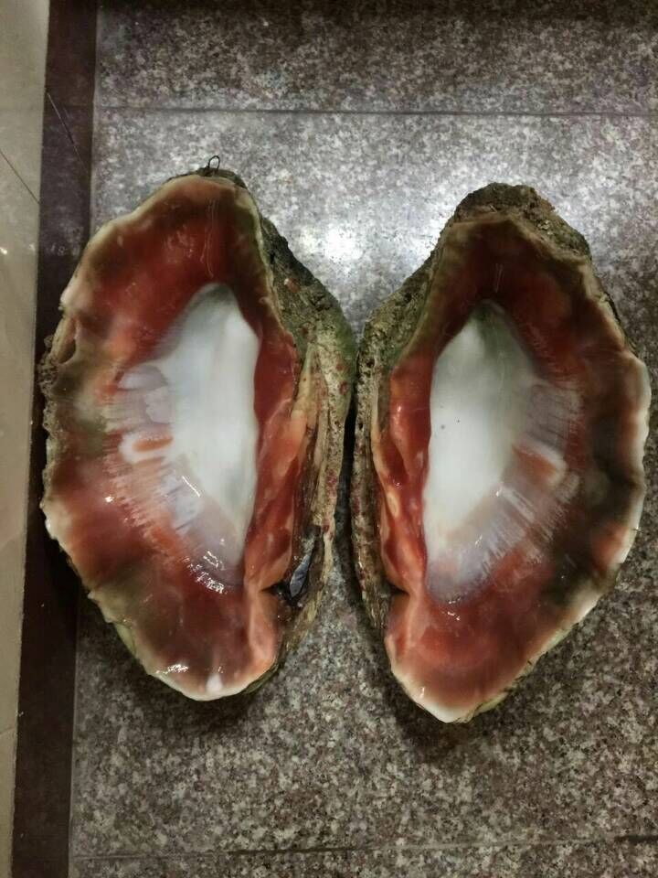 QQ图片20151115140332.jpg