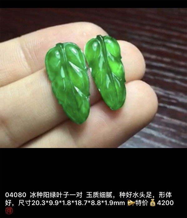 IMG_2518.PNG.jpg