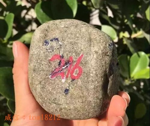 微信图片_20180621111046.jpg
