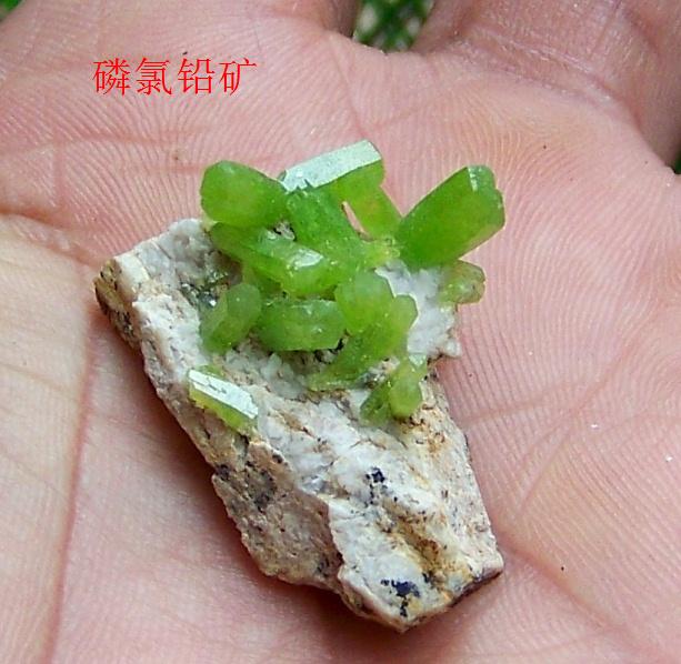 09套装矿物标本 050.jpg