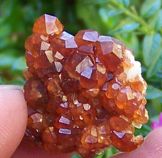 09矿物1p 041.jpg