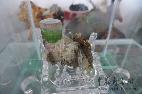 090711昆明石博会J039粘贴双色碧玺标本1-3.JPG