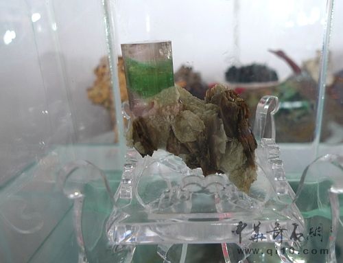 090711昆明石博会J039粘贴双色碧玺标本1-1.JPG