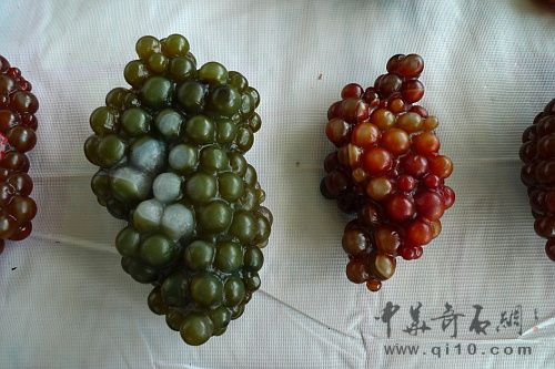 090711昆明石博会J040雕刻葡萄玛瑙1-1.JPG
