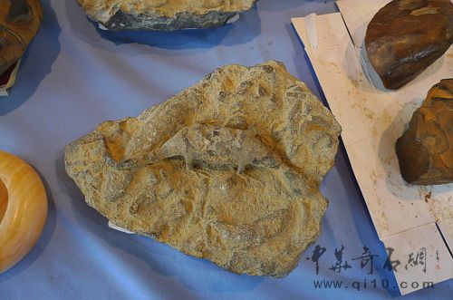 090711昆明石博会J057珊瑚化石打磨粘贴盐酸处理制作的恐龙化石1-3.JPG