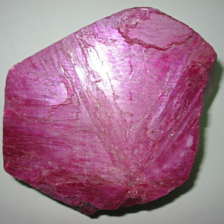 0159_more2.jpg